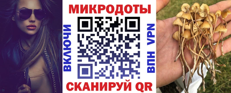 закладки  Менделеевск  Псилоцибиновые грибы мухоморы 